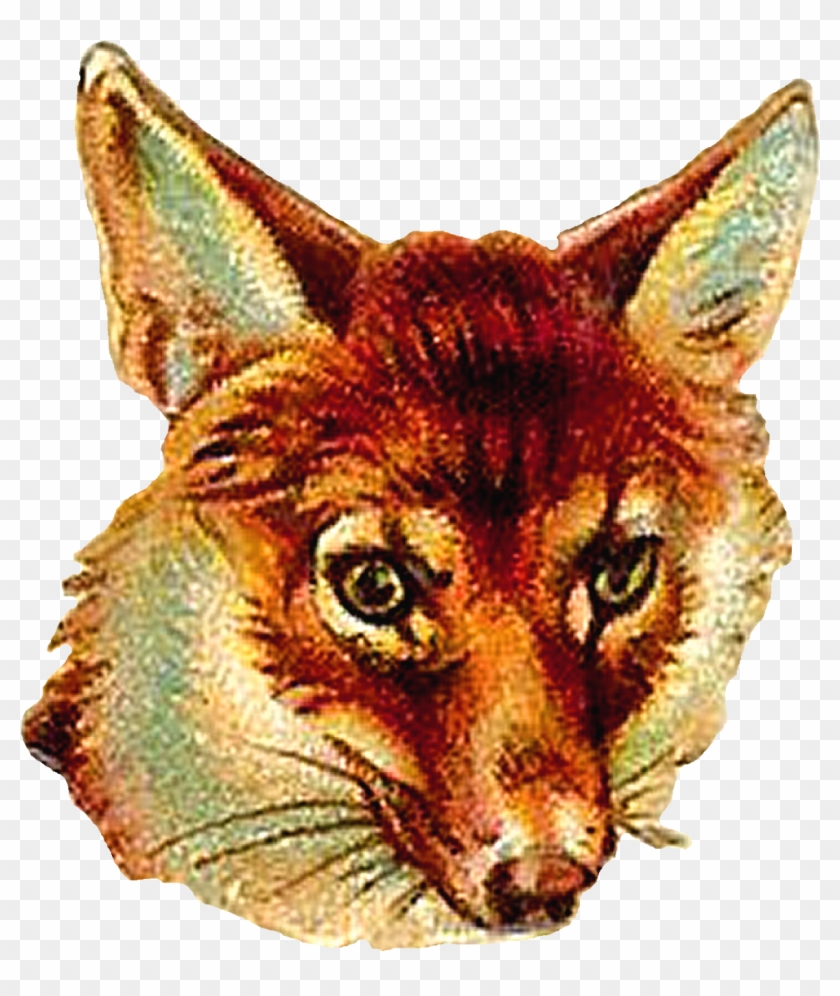 Digital Fox Clip Art Download Of Animal Portrait - Vintage Fox Clip Art - Png Download #1824452
