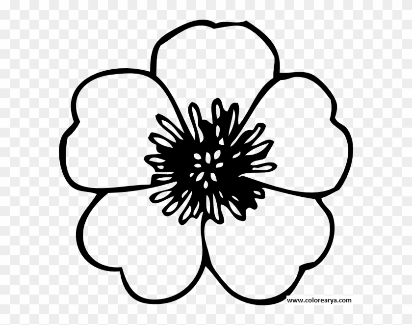 Flower Coloring Pages Png Flores Png Para Colorear - Flower Vector Art Black And White Clipart #1825136