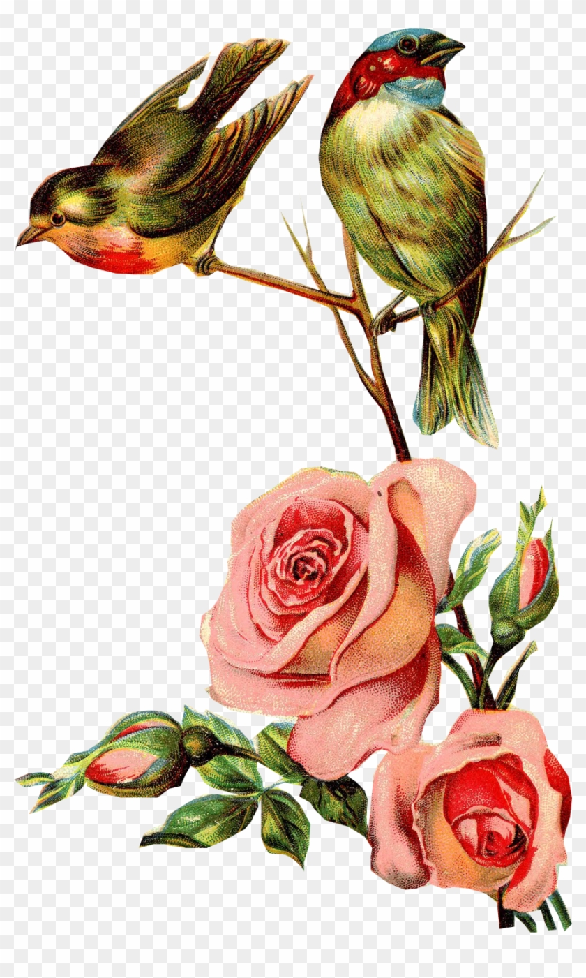 Flores Vintage Png - Bird Vintage Png Clipart #1825233