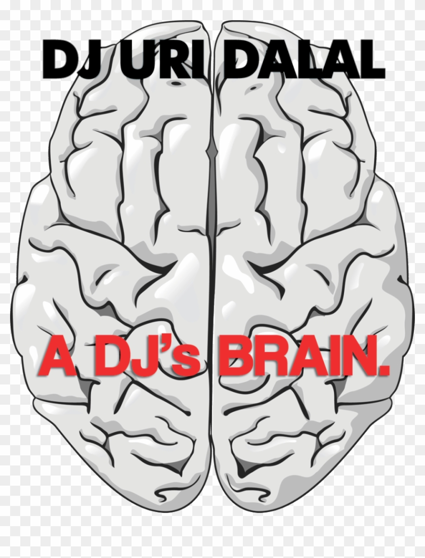 Clip Art - Png Download