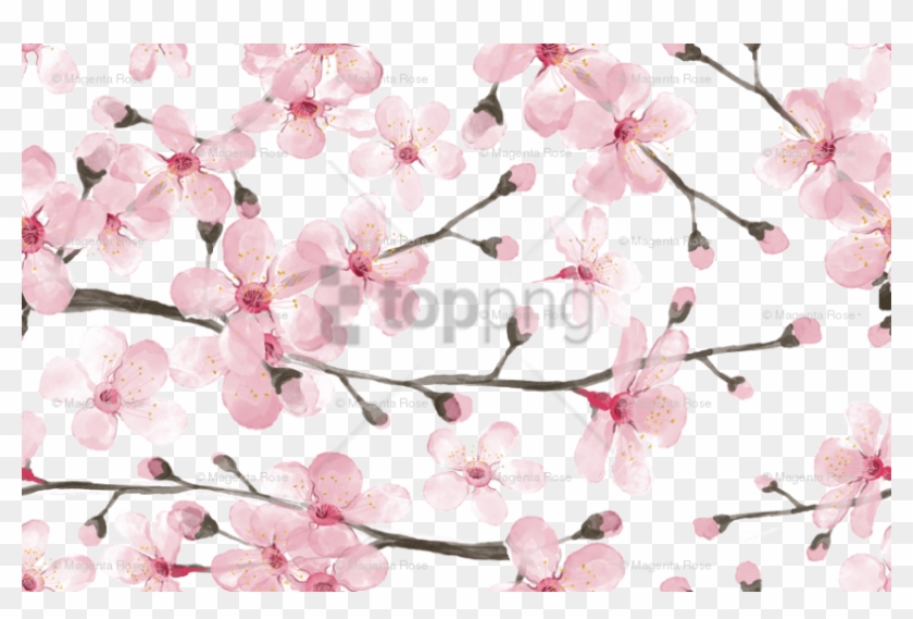 Free Png Download Cherry Blossom Watercolor Png Images - Cherry Blossom Pattern Fabric Clipart #1828187