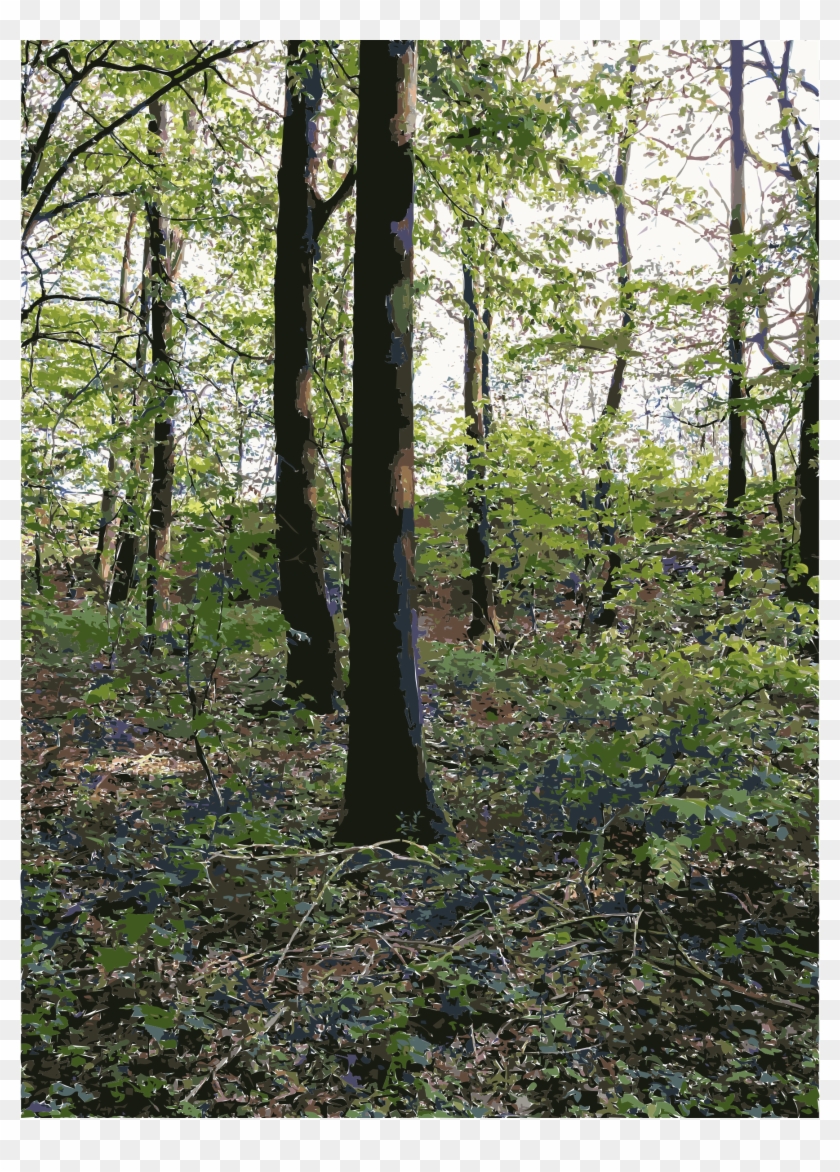 This Free Icons Png Design Of Lichtscheid Forest Again Clipart #1828532