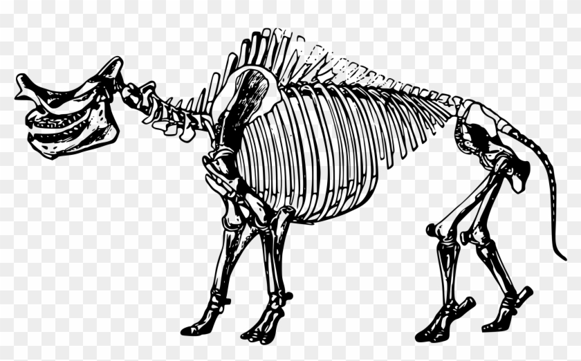 This Free Icons Png Design Of Titanotherium Skeleton Clipart