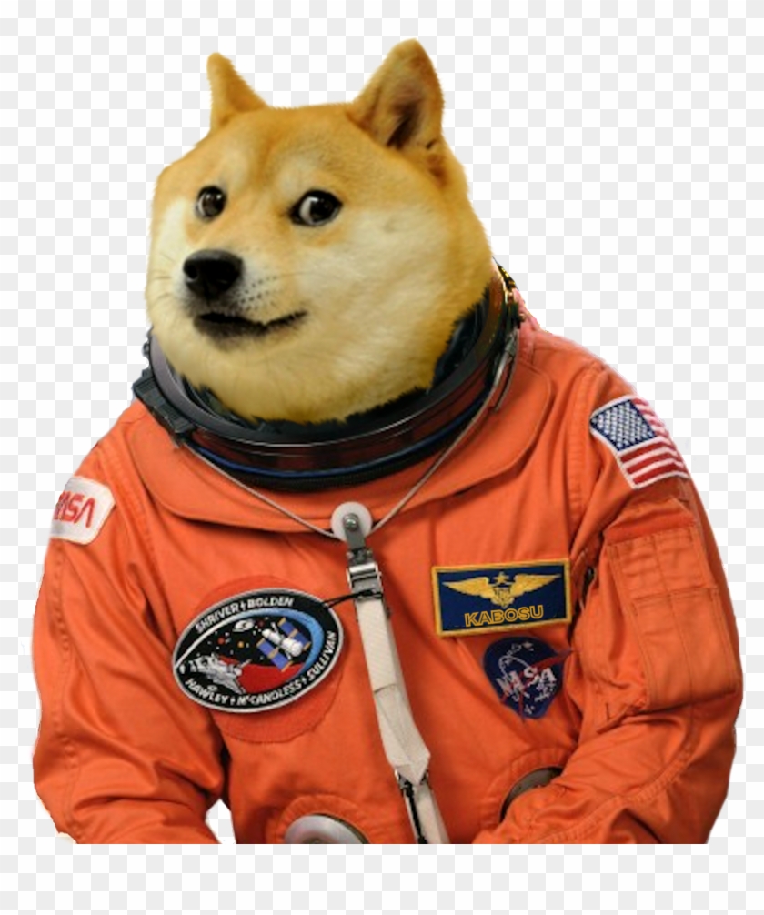 Wow Much Doge Png - Whatsapp Stickers Meme Clipart