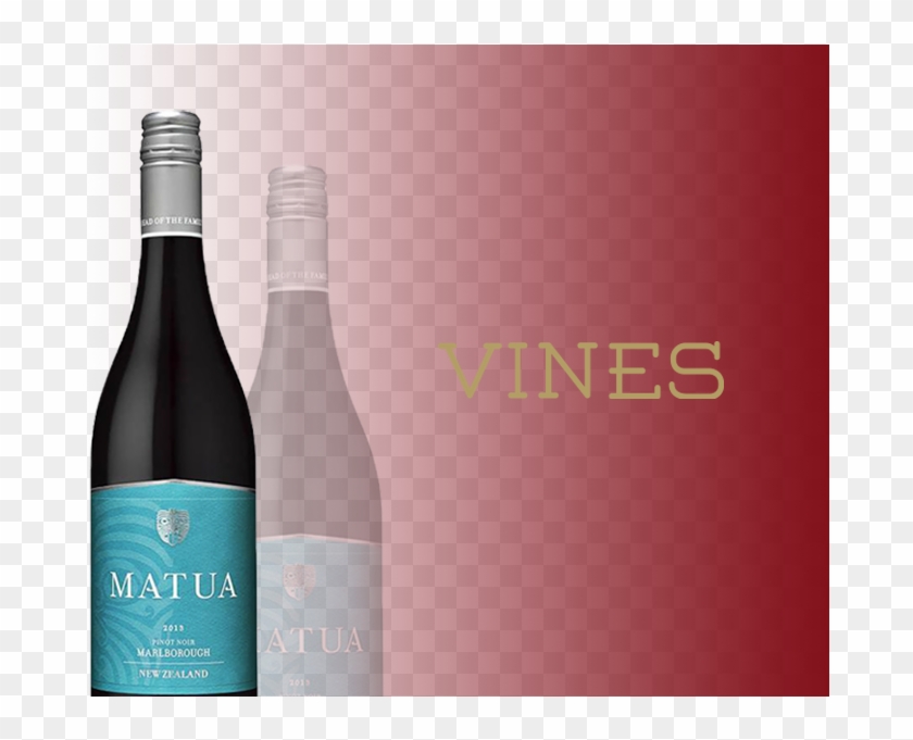 Vines - Glass Bottle Clipart #1831738