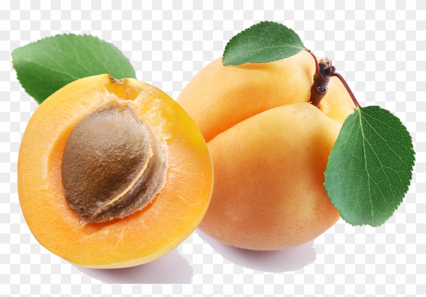 Top 18 Apricot Png Transparent - Apricot Png Clipart