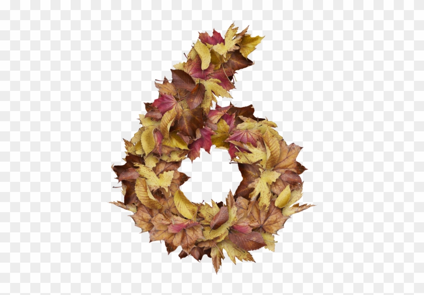 6 Number With Dry Leaves - Prince Of Wales Feathers Clipart #1834073