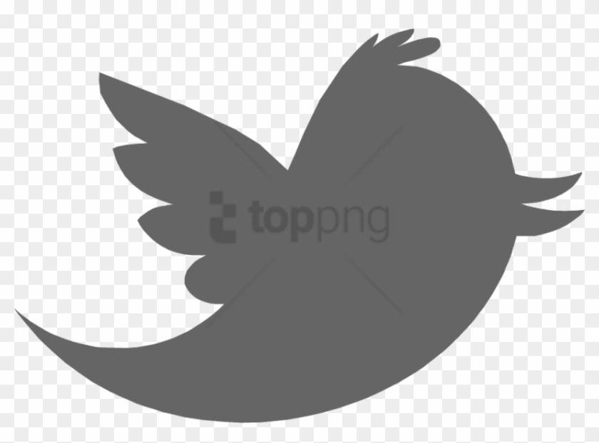 Free Png Download Twitter Logo Gray Png Images Background - Twitter Logo Transparent Grey Clipart