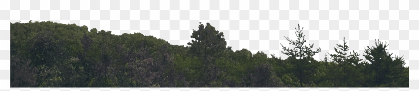 Watch Tower Skyline Skyline - Mountain Png Clipart #1834573