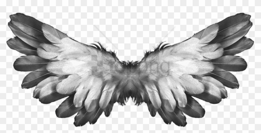 Free Png Angel Wings Feathers Png Image With Transparent - Feathers Wings Clipart #1834689