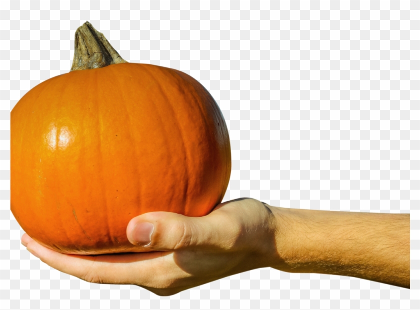 Hand Holding Orange Pumpkin Png Image - Pumpkin Clipart #1835216