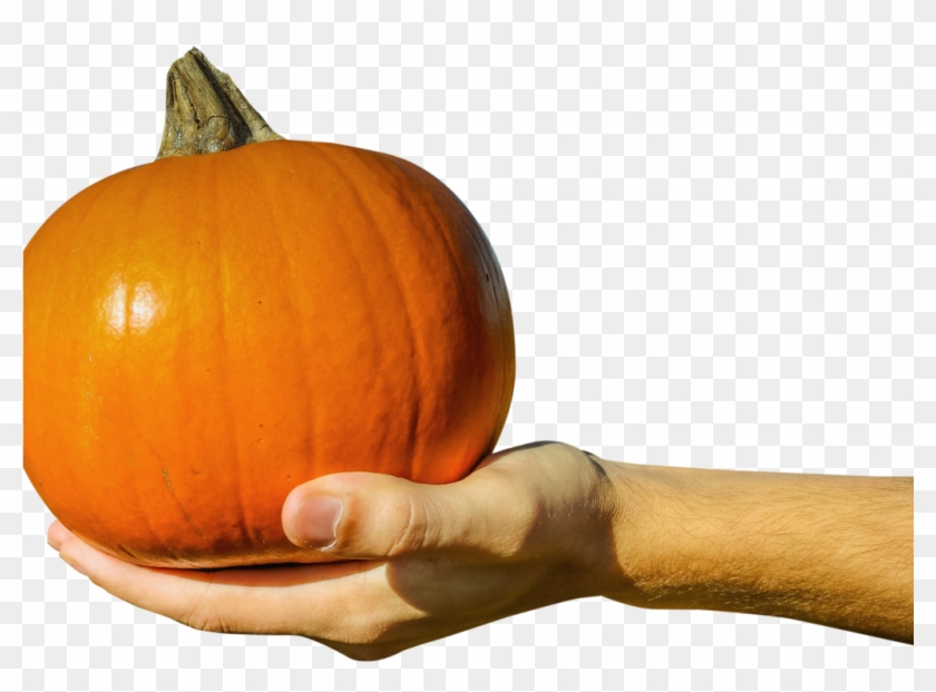 Hand Holding Orange Pumpkin Png Image - Pumpkin Clipart