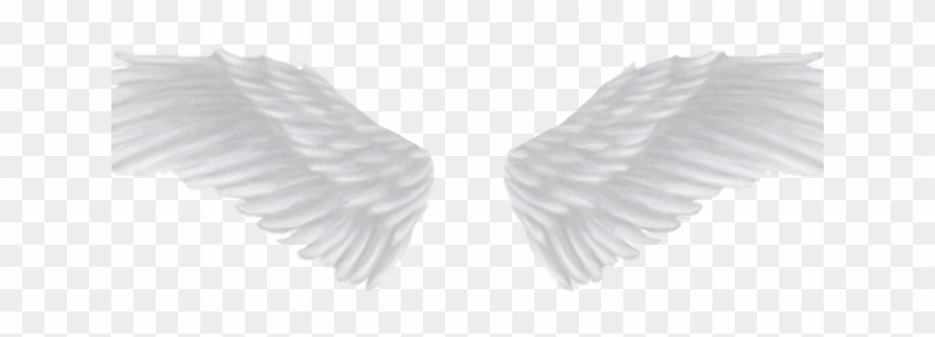 Angel Wings Png - Transparent Background Angel Wing Png Clipart #1835218