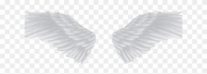 Angel Wings Png - Transparent Background Angel Wing Png Clipart