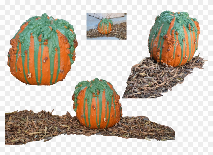 Warty Png Stock By Mom Espeace On - Pumpkin Clipart