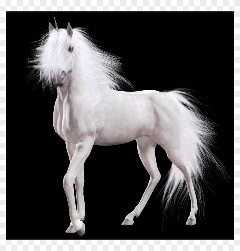 Unicorn Png Images - Stallion Clipart #1835817