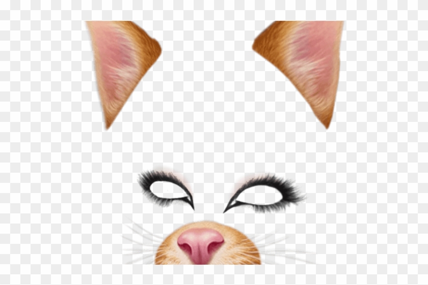 Snapchat Filters Png Transparent Images - Png Snapchat Filters Clipart