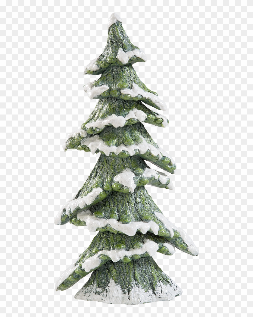 1000 X 1000 1 - Tanne Mit Schnee Clipart #1836547