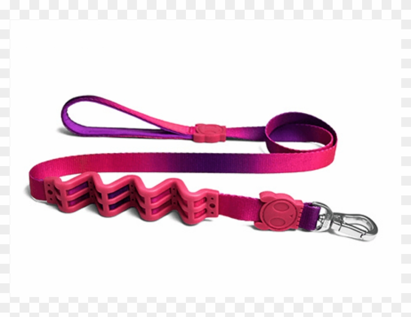 Ruff Leash Clipart #1842938