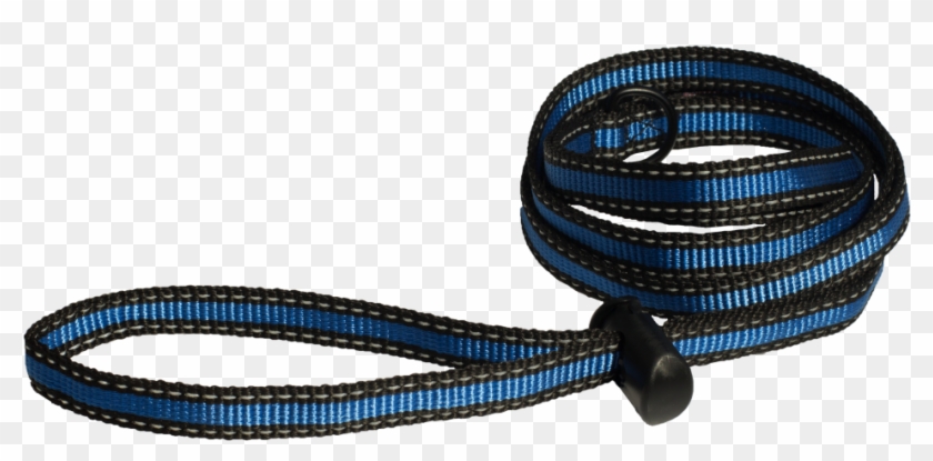 Same Leash Can Be Used On Different Size Dogs Clipart