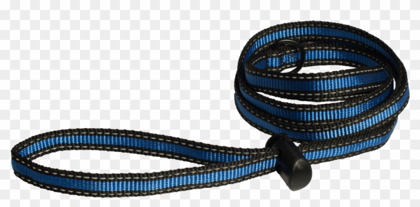 Same Leash Can Be Used On Different Size Dogs Clipart #1843132