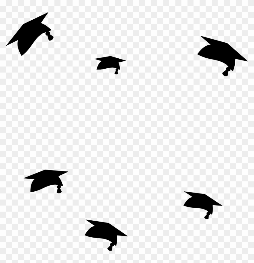 The Only Way To Commemorate Your Graduation - Crow-like Bird Clipart