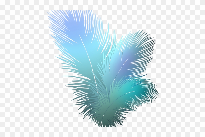 Turkey Bird Clipart Transparent Tumblr - Transparent Background Feathers Png #1844181