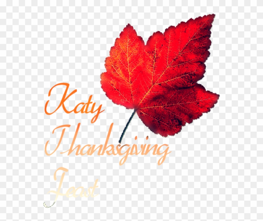 Katy Thanksgiving Community Dinner Feast Serves Home - Stylistic Clipart #1844527
