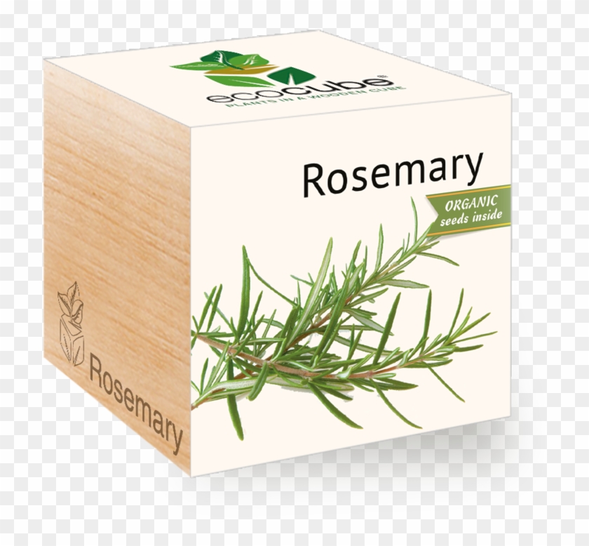 Rosemary Png Clipart #1844606