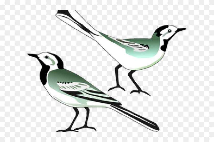 Wagtail Clipart - Png Download #1846016