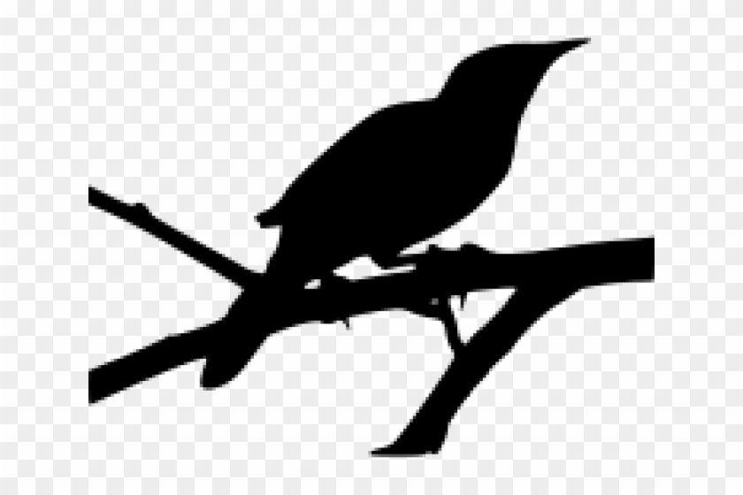 Mockingbird Clipart Vector - Png Download #1846103
