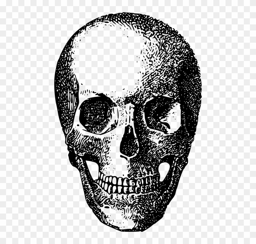 Bone, Game Asset Call, Skeleton, Skull Clipart #1846104