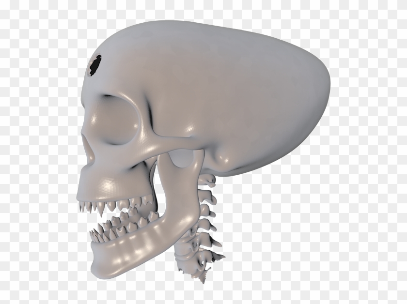 Load In 3d Viewer Uploaded By Anonymous - Skull Clipart