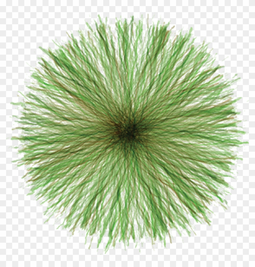 Landscape Gardening Near Me - Marine Invertebrates Clipart