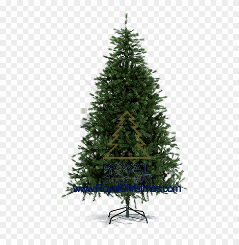 Free Png Pine Tree For Christmas Png Image With Transparent - Real Christmas Tree Plain Clipart #1847887