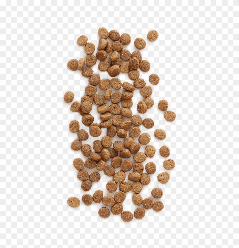 Cat Food Png Clipart #1848203