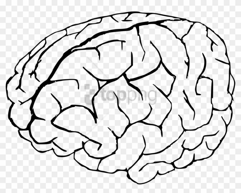 Free Png Brain Drawing Png Image With Transparent Background Clipart #1850086