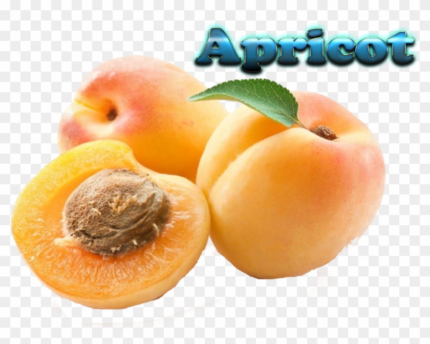 Apricot Fruit In Tamil Clipart #1851003