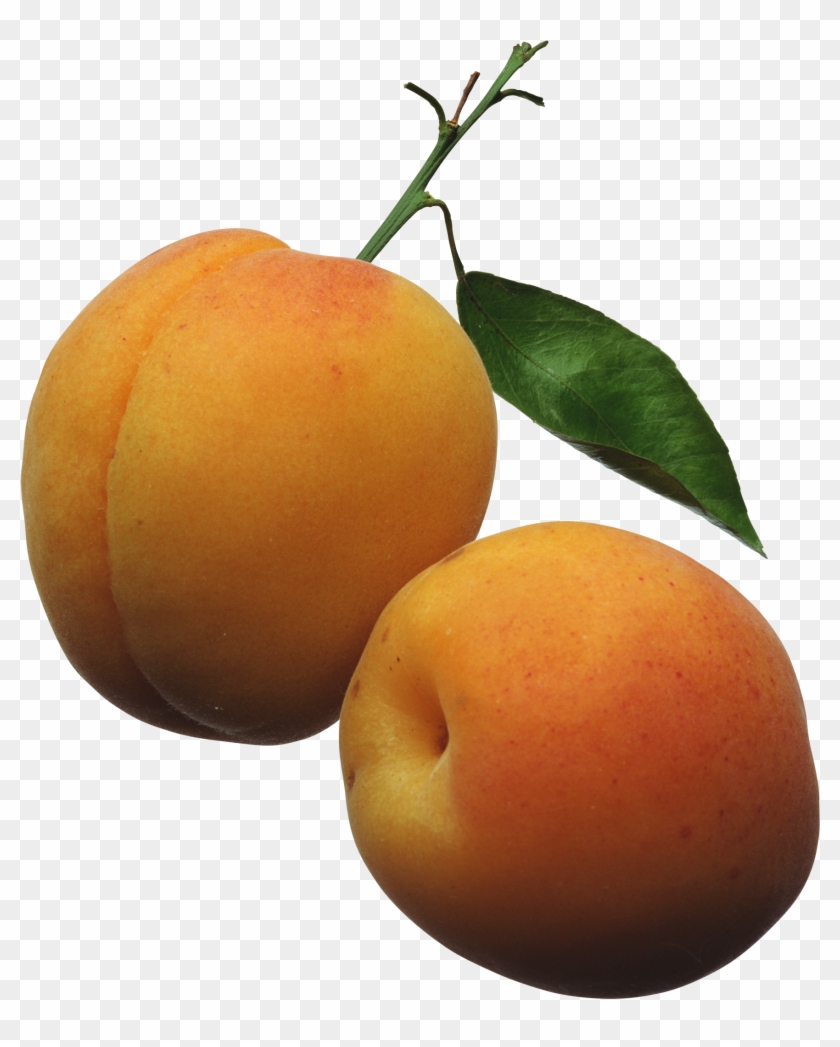 Apricots Png Clipart Picture - Apricots Clipart Transparent Png #1851045