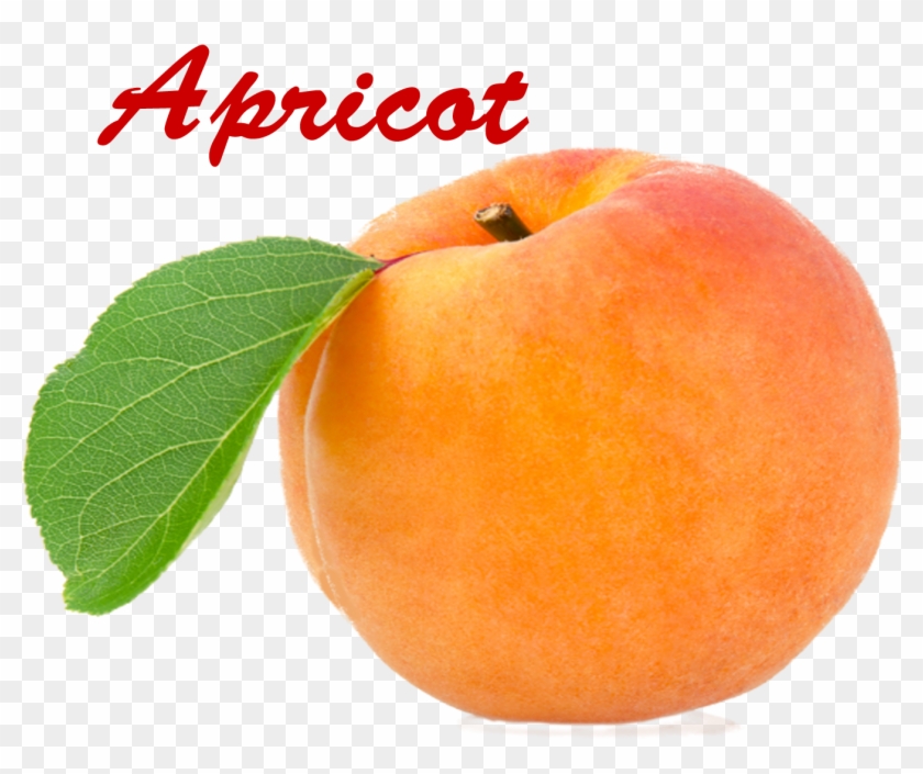 Apricot Png - Apricot Clipart #1851119