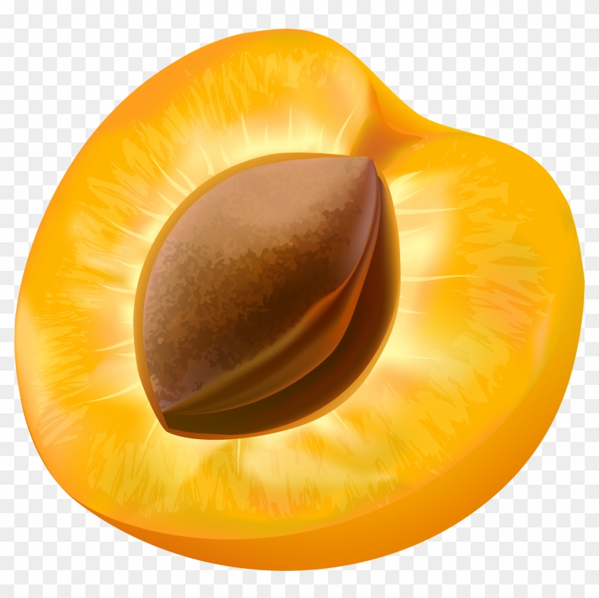 Half Apricot Transparent Image - Apricots Clipart - Png Download