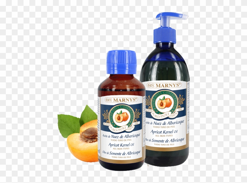 Apricot Kernel Oil - Plastic Bottle Clipart #1851485