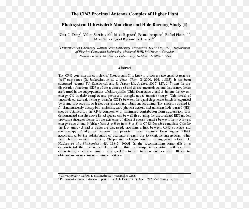 Pdf - Text Page Clipart