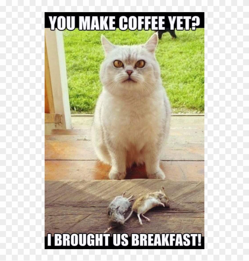 Author Cleanmemesposted On March 23, 2019 February Clipart #1851875