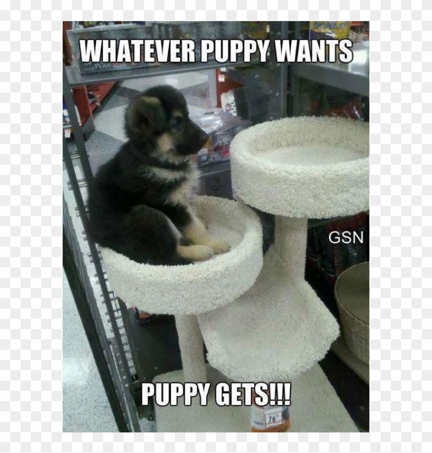 Clean Memes 03 23 2019 Evening Clipart #1852050