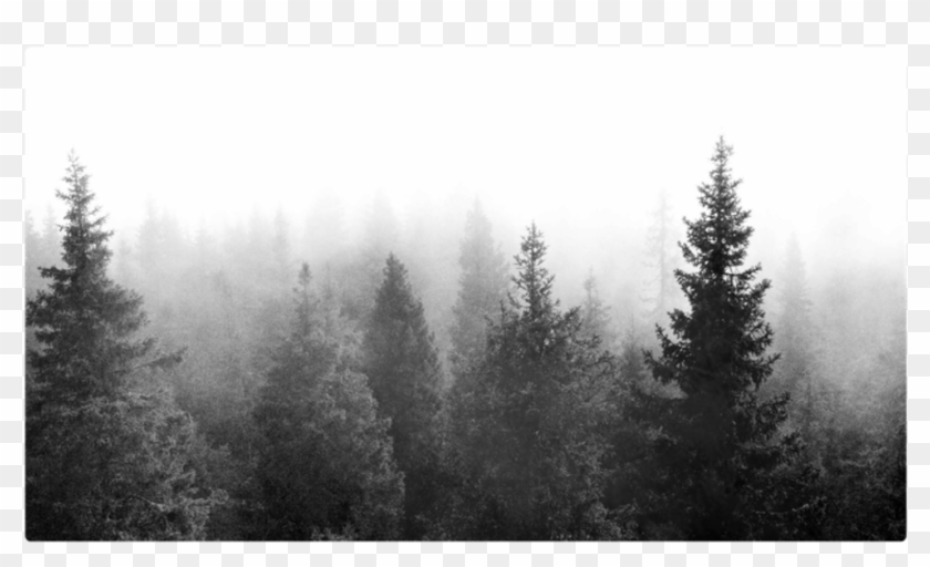 #trees #tree #forest #background #wallpaper #nature - Black And White Desktop Background Clipart #1852797