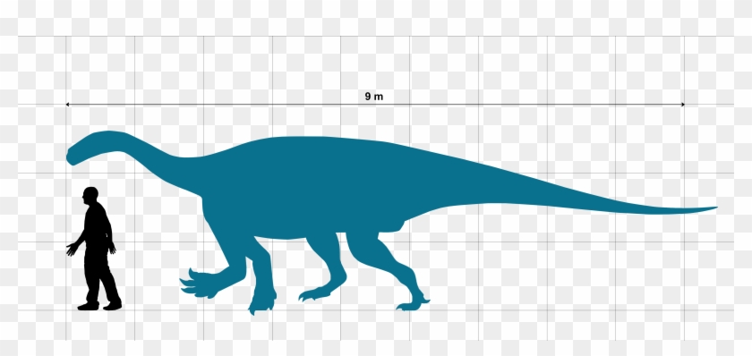 Ledumahadi Size Chart With Human - Dinosaur Clipart #1853091