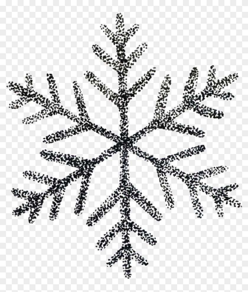 By Tea Leigh From Transparent Background - Dessin Flocon De Neige Tatouage Clipart