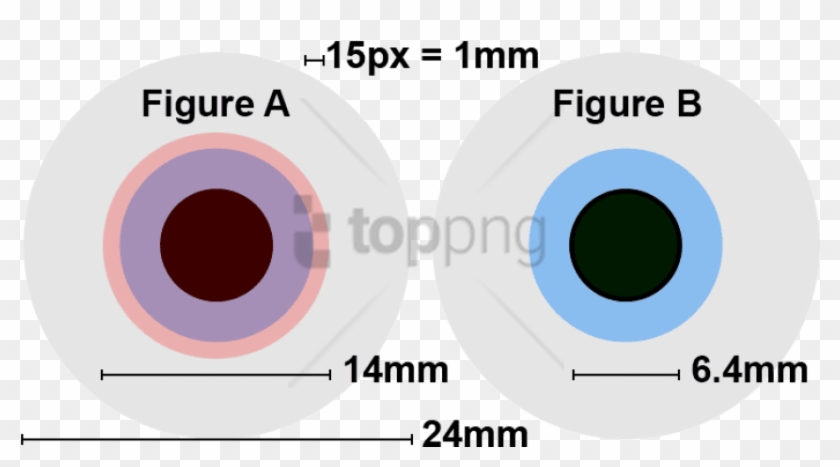 Free Png Human Eye Lens Diameter Png Image With Transparent - Circle Clipart