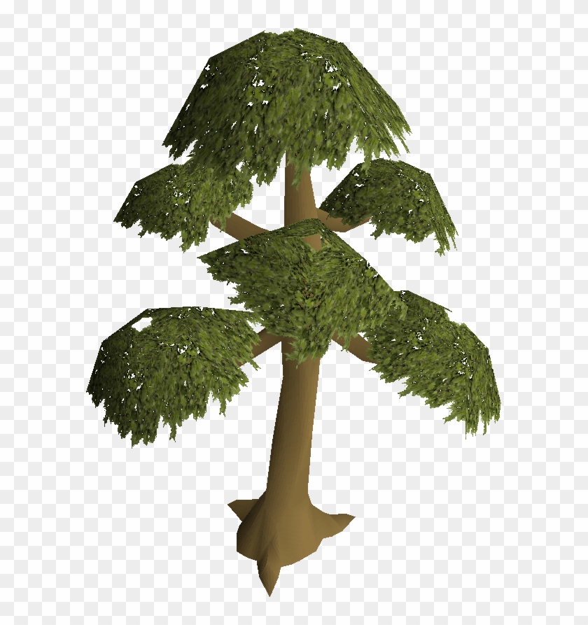 Willow Tree Png - Runescape Tree Clipart
